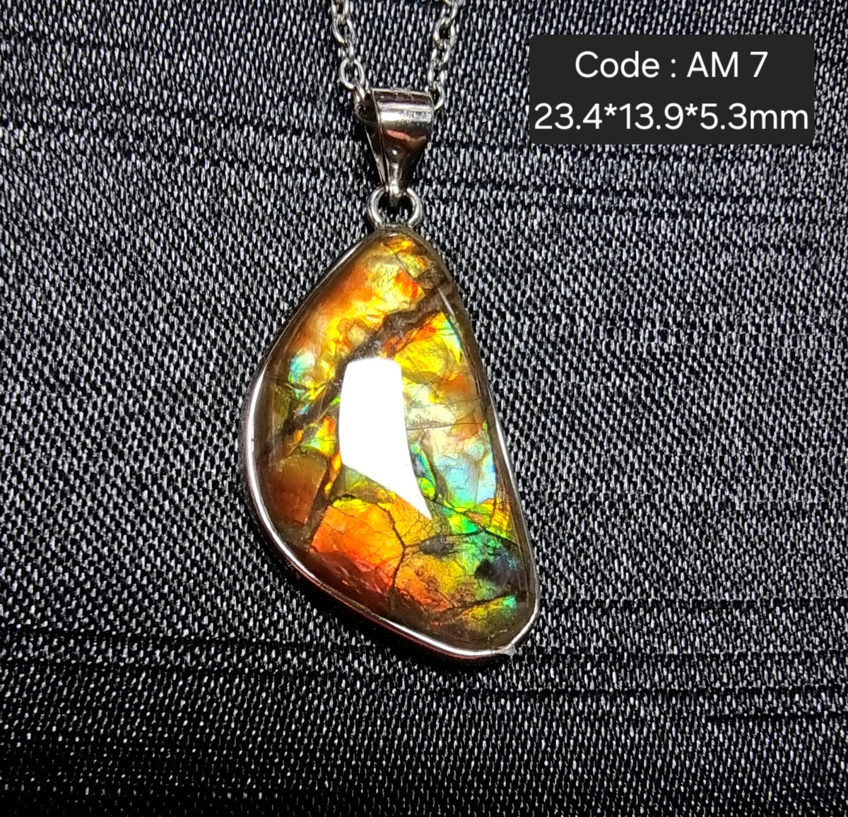 Canada Ammolite Sterling Silver Pendant